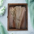 thumbnail image 4 of 1Pack Wooden Insect Specimen Display Case Coffee White Rectangular EVA Acrylic Glass For Collectors Hobbyists Storage Display, 4 of 9