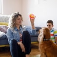 thumbnail image 5 of fheaev Interactive Pet Toys for Indoor Boredom1Dog Toys Dog Ball1Lettuce Dog Toys Lettuce Chew Ball Heavy Duty Spiky Chew Ball, 5 of 6