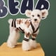 thumbnail image 3 of Suéteres para perros pequeños, lindos cárdigans de oso para perros, ropa para perros pequeños y medianos, conjuntos de cárdigan de punto para niños, niñas, cachorros y gatos, abrigos de invierno, 3 of 5