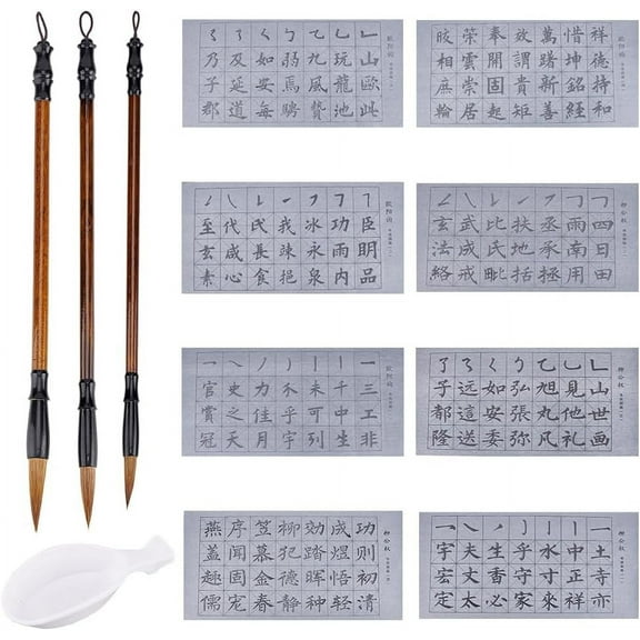 12pcs No Ink Chinese Calligraphy Set Rewritable Water Writing Cloth 3pcs Chinese Traditional Calligraphy Brushes and Water Dish DIY