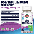 thumbnail image 2 of KAL Dinosaurs Zinc Elderberry ActivMelt | Kids Healthy Immune Support | Natural Berry Flavor | Sugar Free | 90 MicroTabs, 2 of 6