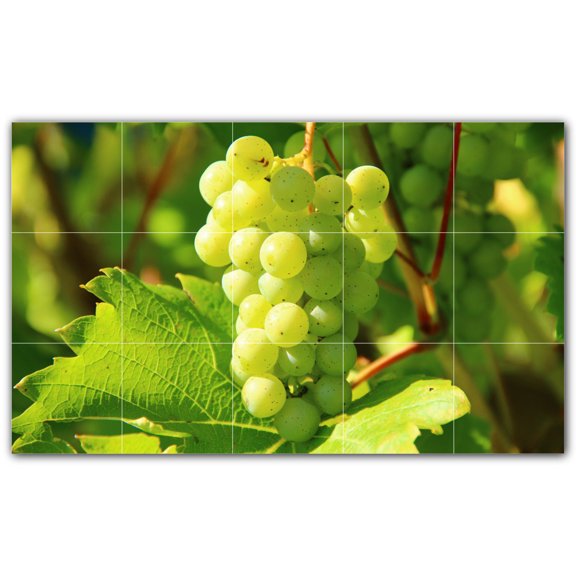 Picture-Tiles.com: Fruit Ceramic Tile Wall Mural WAL500699-53L. 40"W x 24"H using (15) 8" x 8" Ceramic Tiles-Satin Finish