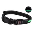 thumbnail image 1 of Dog Luminous Collar, Metal Clip Dog LED Collar Polyester Material USB Charging With USB Cable For Outdoor Red,Green,Blue, 1 of 8