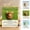 3Pcs, variant on Coollooc Pocket Hug Cow Acrylic Animal Emotional Support Gifts with Inspirational Positive Pocket Hug Card for Friends Coworkers Cow Lovers Long Distance Relationship Birthday Christmas Gift(Cat)