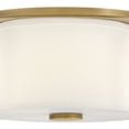 thumbnail image 4 of Hinkley Lighting - Delaney - 21W 3 LED Medium Flush Mount In Traditional, 4 of 8