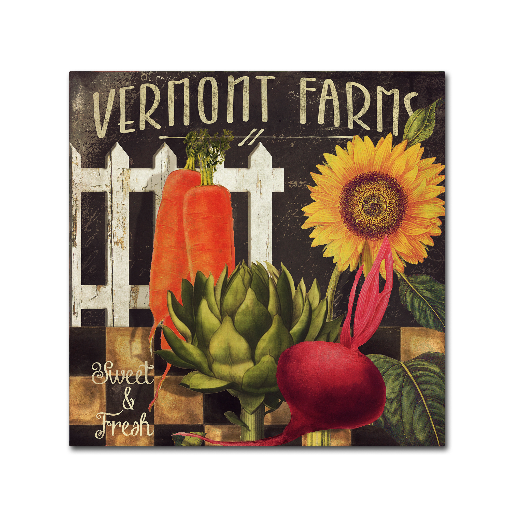 Trademark Fine Art "Vermont Farms VIII" Canvas Art by Color Bakery