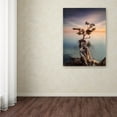 thumbnail image 3 of Moises Levy 'Water Tree III' Canvas Art, 3 of 3