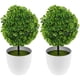 thumbnail image 1 of Bolas de plantas artificiales, bonsái decorativo de plantas simuladas, bola de flores de plástico para decoración (verde), 2 uds., 1 of 7