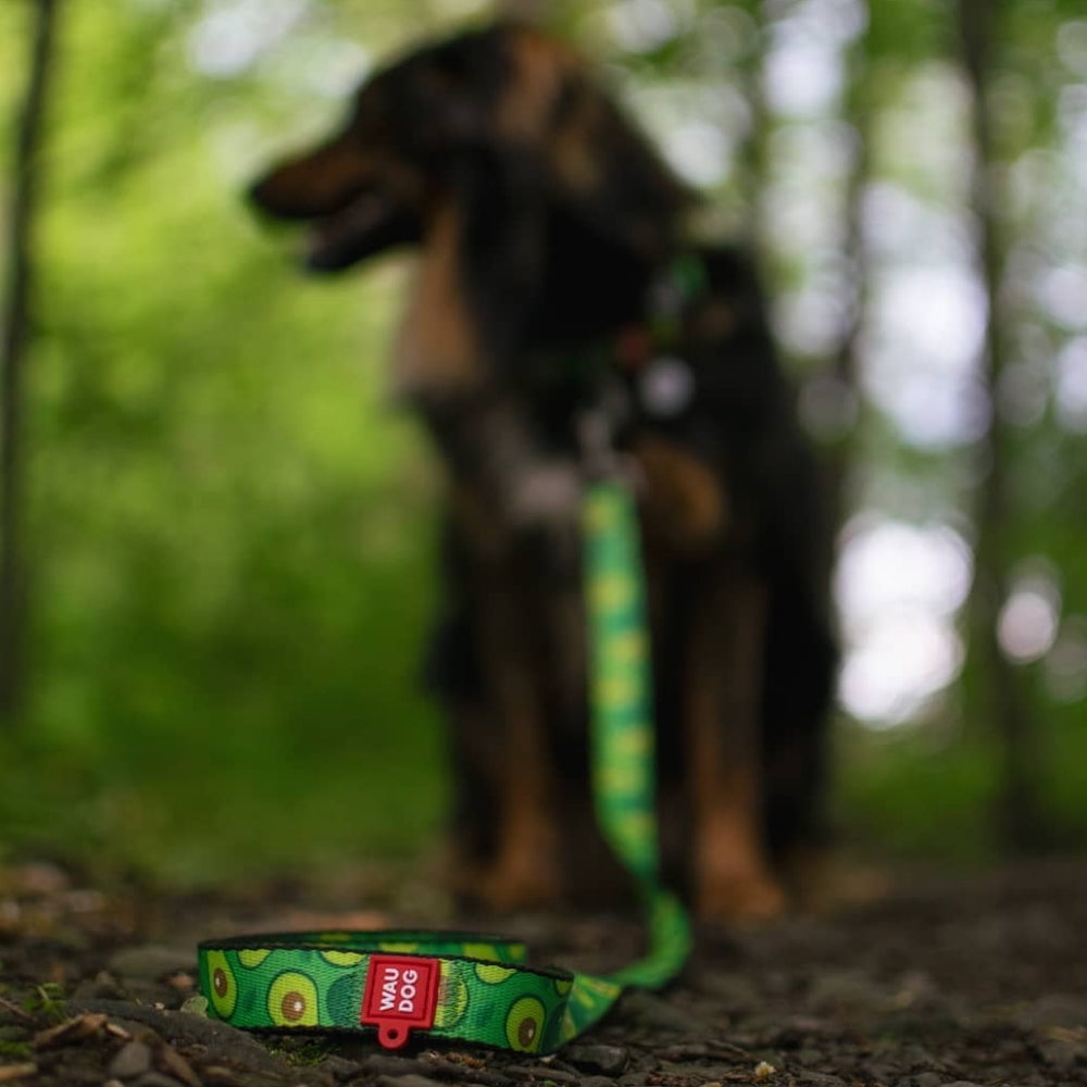 WAUDOG Nylon Leash with Unique Design | Strong & Special Design Leash for Cute Small, Medium Large Dog | Heavy Duty Dog Leashes for Large Breed Dog & Puppy Leash for Small Boy & Girl Dogs - Red Plaid