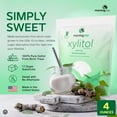 thumbnail image 4 of Morning Pep Sample Size Pure Birch Xylitol Sweetener 4 oz, 4 of 7