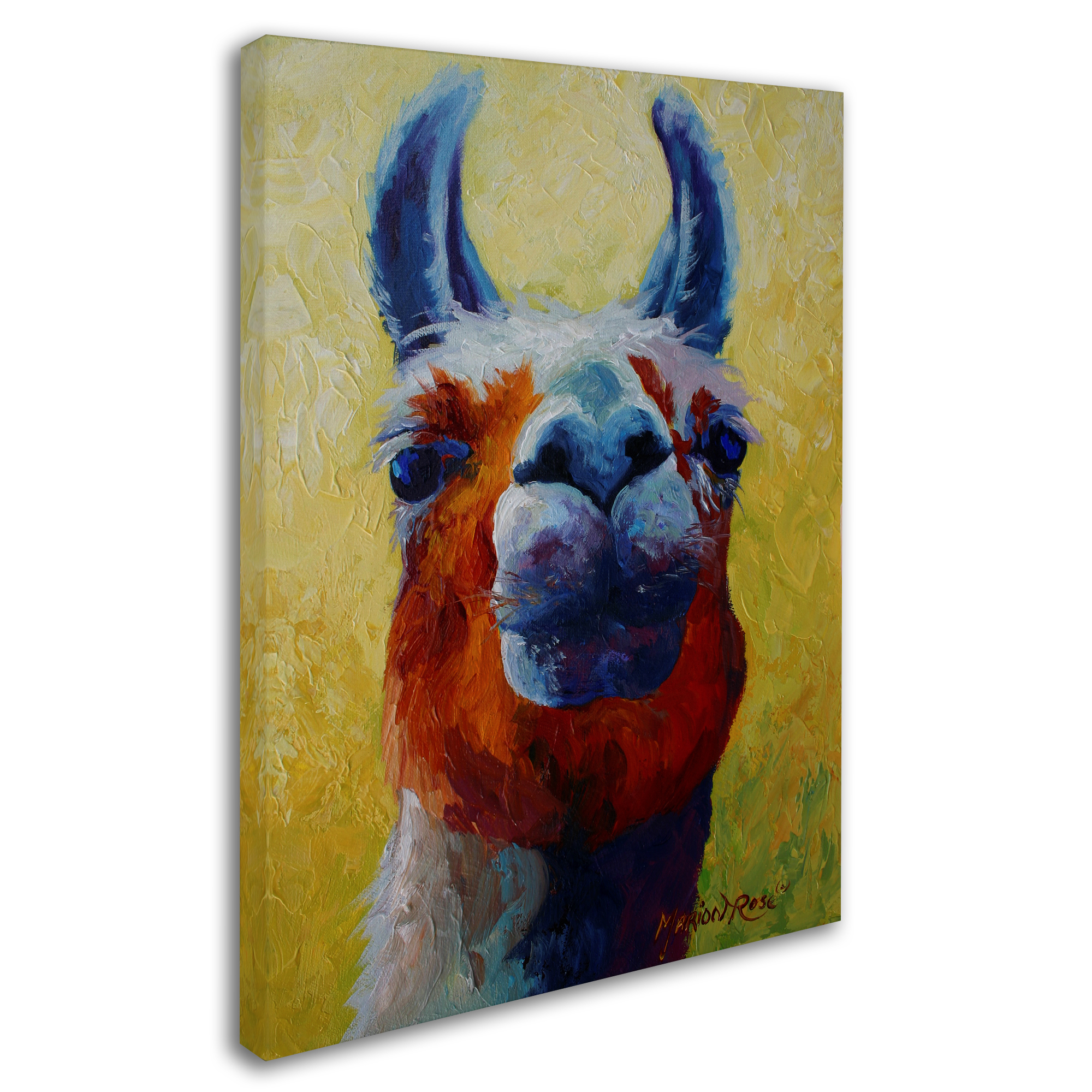 Trademark Fine Art 'Llama I' Canvas Art by Marion Rose