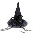 thumbnail image 1 of AWZXDE Chapeau de Sorcière Violet pour Fête d'Halloween pour Femme avec Fleurs Rouges, Couvre-Chef Pointu Noir, 1 of 8