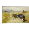 thumbnail image 1 of ARTCANVAS On The Stooks Blackgame Canvas Art Print by Archibald Thorburn - Size: 18" x 12" (1.50" Deep), 1 of 9