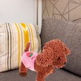 thumbnail image 5 of HONITANO 1Pcs Pet Menstrual Pants Pink Lace Cotton for Puppies XL, 5 of 8