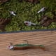 thumbnail image 2 of Naiovety Juego de aparejos de pesca con señuelos Jig Head Juego de anzuelos de alta resistencia Características: Anzuelos de acero inoxidable Pescar, 2 of 6