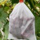 thumbnail image 2 of 100 piezas de bolsa de protección para frutas y uvas de jardín, bolsa de malla para control de plagas de flores, bolsa de barrera de red de aislamiento de insectos (180 * 200 mm, blanco), 2 of 5