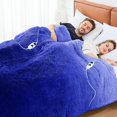 thumbnail image 1 of Heated Electric Blanket RUJIPO Queen w/ Faux Fur Sherpa, 1 of 7