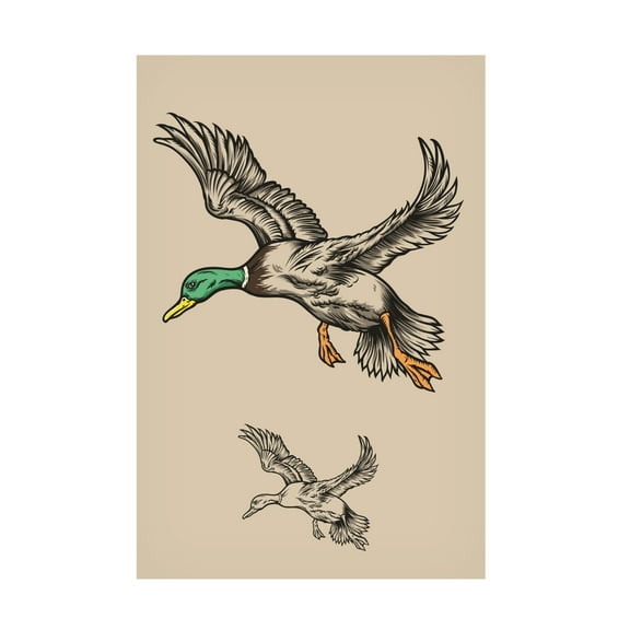 Trademark Fine Art jay stanley Flying Ducks Canvas Wall Art