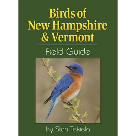 Birds of New Hampshire & Vermont Field Guide (Best Camping In New Hampshire)