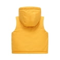 thumbnail image 6 of BCSIOAOI Toddler Girls Vest,Fleece Lined Full Zip Hooded Sleeveless Warm Vest with Pockets Yellow 1-2t, 6 of 6
