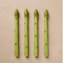 John Derian Asparagus Taper Candles, 4-Pack, Unscented, 5-Hour Burn Time