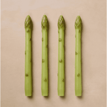 John Derian Asparagus Taper Candles, 4-Pack, Unscented, 5-Hour Burn Time