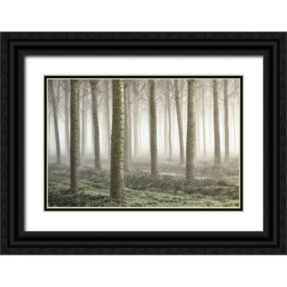 Carozzi, Fiorenzo 24x17 Black Ornate Wood Framed with Double Matting Museum Art Print Titled - Small woodland
