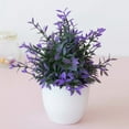 thumbnail image 5 of Potted Artificial Greenery,Realistic Mini with Flowers for Home Office Desk Decor,Small Indoor Tabletop Decorations for Bathroom,Farmhouse,Shelf Centerpiece, 5 of 5