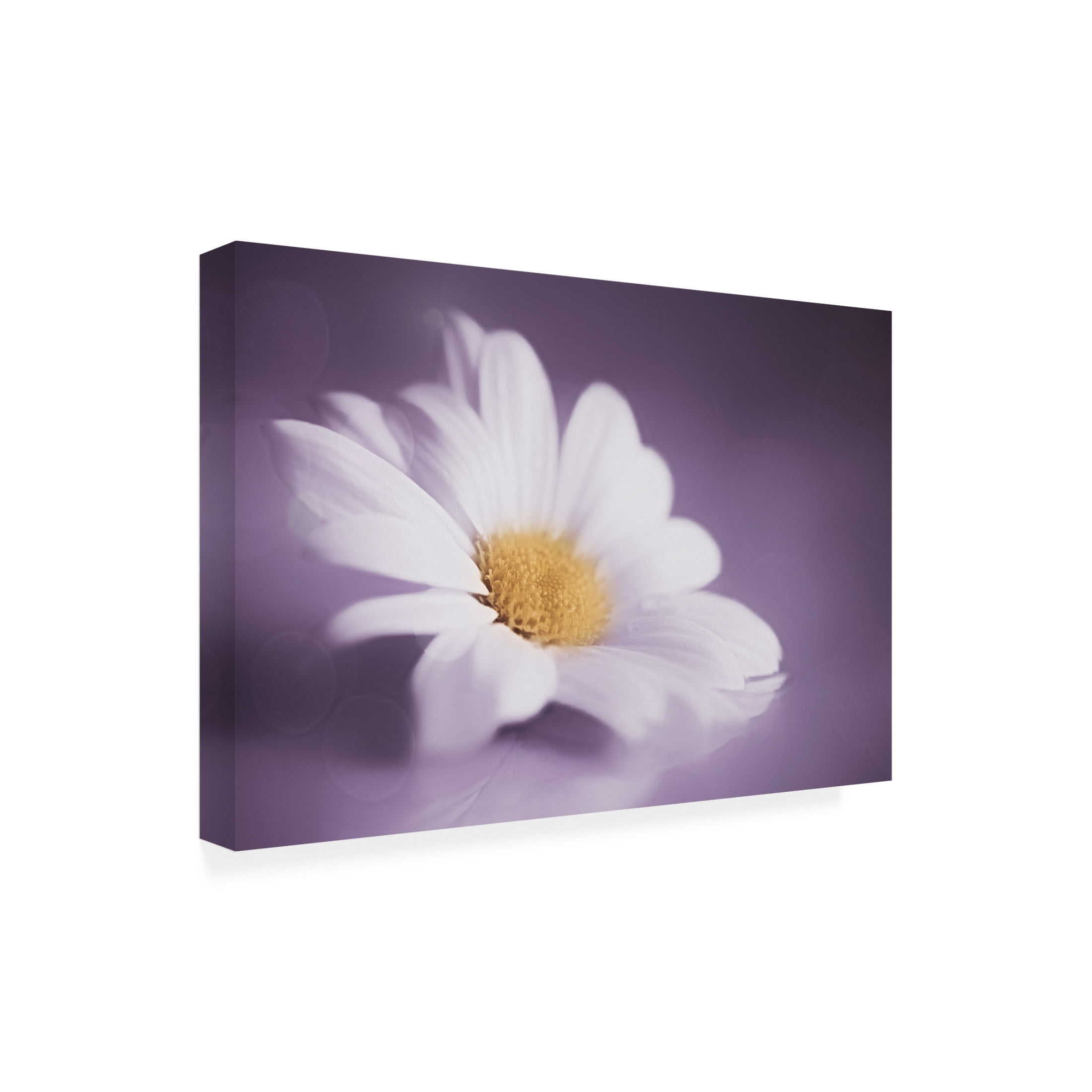 Canvas Wall Art - Cicek Kiral 'Soft Was The Light' Wall Art for Living Room, Bedroom, or Office Décor by Trademark Fine Art - 19 x 12 Inches