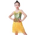 thumbnail image 3 of ANINEO Latin Dance Dress Tassel Salsa Dancewear Sequin Fringe Dress Modern Ballroom Cha Cha Dancer Outfits for Girls, 3 of 3