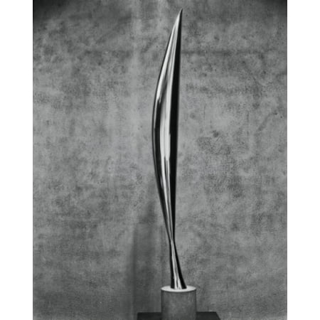 New York State Bird - Bird In Space 1919 Constantin Brancusi (8 x 10) Bronze Museum of Modern Art New York City Poster Print (8 x 10)