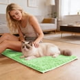 thumbnail image 5 of YaoZQ Light Green Soft Pet Bath Mat Non Slip Absorbent Rug Thick Fluffy Carpet for Dog Grooming Tub Shower Area Washable 24 x 16 Inch, 5 of 5