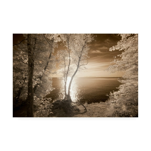 Trademark Fine Art 'Trees Framing Lake' Canvas Art by Monte Nagler