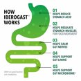 thumbnail image 3 of Iberogast Dual Action Digestive Relief Softgels (Pack of 16), 3 of 7