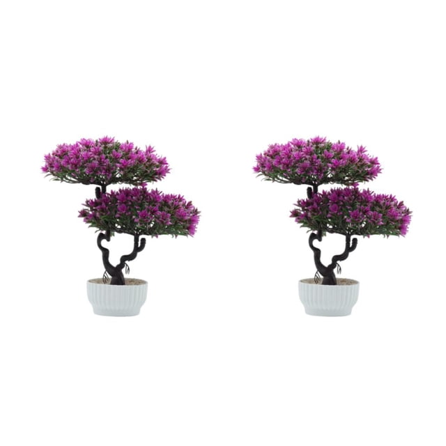 Inteprter ABS hecho a mano hogar para fotos pared casa de muñecas muebles miniatura flor propia pequeña casa del mundo plantas miniatura Type5 NO5