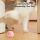 thumbnail image 4 of Juguetes interactivos para perros, pelota para perros, pelota rodante activa duradera, pelota giratoria que rebota y se mueve automáticamente para cachorros/perros pequeños/medianos, recargable por, 4 of 7