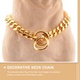 thumbnail image 3 of unbranded Cadena Decorativa Para Perro En Inoxidable Color Dorado Con Estilo Y Fácil De, 3 of 8
