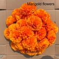 thumbnail image 2 of Marigold Flower Heads Bulk, Day of The Dead Dia De Los Muertos Mexican Artificial Flowers for Diwali Home DIY Wreath Garland, 2 of 10