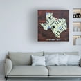 thumbnail image 2 of Trademark Fine Art 'Texas License Plate Map Large' Canvas Art by Design Turnpike, 2 of 4