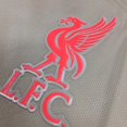 thumbnail image 4 of Jersey Liverpool Football Jersey Short Sleeve Competition Training Sportswear, 4 of 6