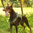 thumbnail image 7 of Charkool Dog Harness, No Pull Dog Harness for Large Dogs, Heavy Duty Pet Harness with Handle, Adjustable Easy on Pet Harness for Running Walking, Green XXL, 7 of 7