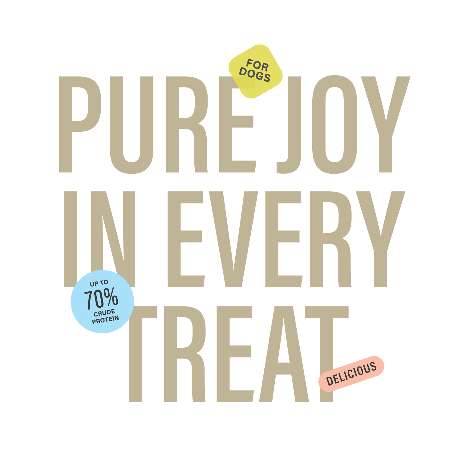 Chewer's Joy Beef Jerky Spring 7–8" (12CT) – Natural Dog Treats – Single Ingredient Long-Lasting Chews, High Protein