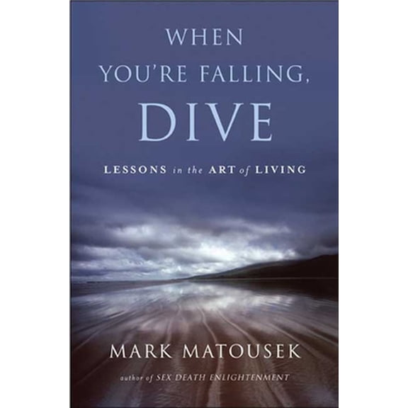 Pre-Owned When You're Falling, Dive: Lessons in the Art of Living (Hardcover) 159691369X 9781596913691