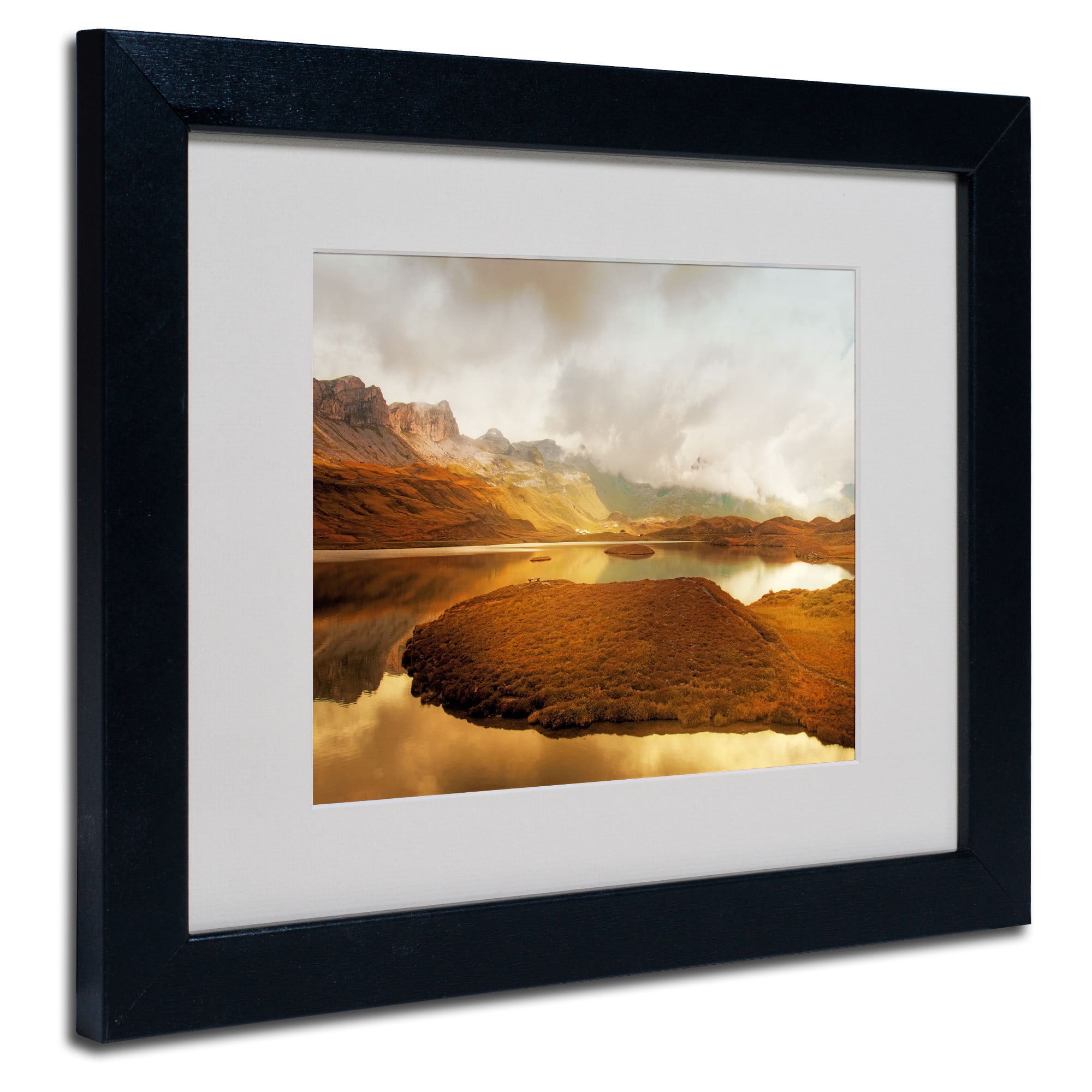 Trademark Fine Art "Shades of Gold" Canvas Art by Philippe Sainte-Laudy, Black Frame