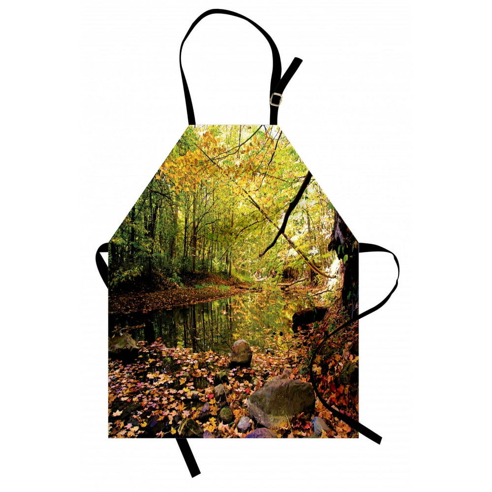 Landscape Apron Pine River in Fall Forest Faded Maple Leaves Deciduous ...