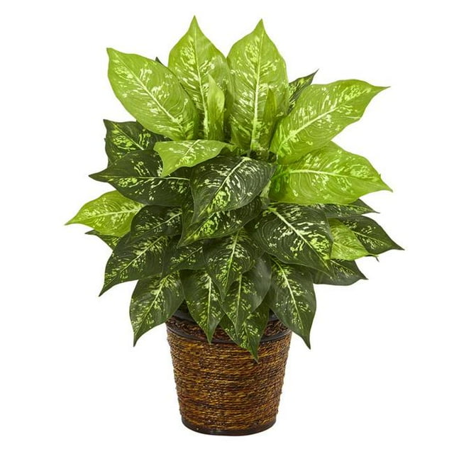 Nearly Natural 8871 19 Pouces Diffenbachia Plante Artificielle dans le Panier
