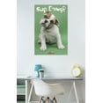 thumbnail image 2 of Trends International Puppy - Sup Dawg Poster, 2 of 2