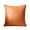 Orange, variant on Waterproof Pillow Cover Square Cushion Case, Polyester Fabric Breathable Durable Protective Cover, Stain Resistant Easy Care Zipper Pillowcase, Sofa Bed Chair Decorative Pillow Cover