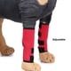 thumbnail image 5 of Protectores de piernas para mascotas, rodilleras ajustables de recuperación, soporte de protección, estabilidad, envolturas a prueba de lameduras, pequeñas, medianas, rojas, M, 2 piezas Advancent PT000579-02, 5 of 7