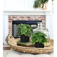 thumbnail image 2 of 3PCS Artificial Plants Potted Mini Fake Plants in Black Ceramic Pots Faux Greenery Plants Home Décor, 2 of 6